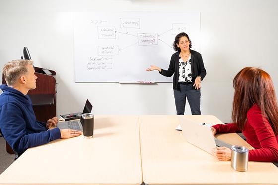 Photo of a woman giving a presentation to two seated professionals