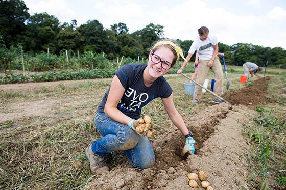 mission-and-values-checkerboards-sustainability